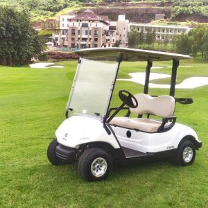 electric golf cart