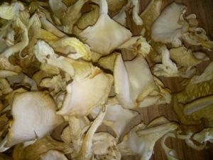 Dried Oyster Mushrooms