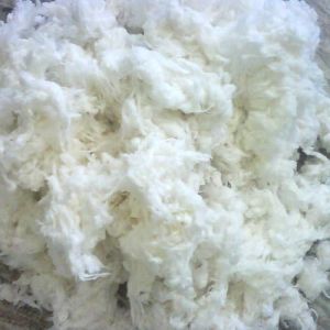 Absorbent Bleached Cotton