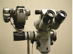 Microscope DSLR Camera Adaptor