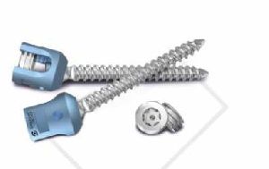 polyaxial screw