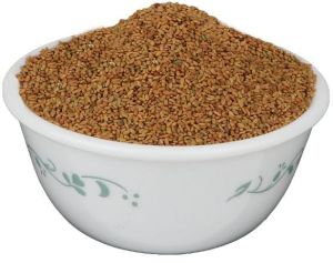 Champa Methi Seeds