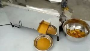 Mango Pulp Machine