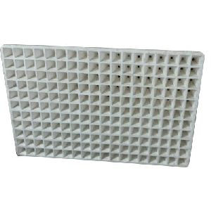 Styrofoam Seedling Trays