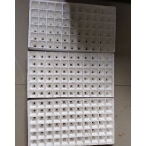 Styrofoam Seedling Trays