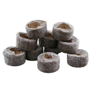 Cocopeat Seed Plugs