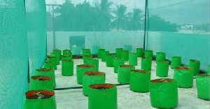 Nursery Grow Bags