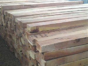 Eucalyptus Sawn Timber