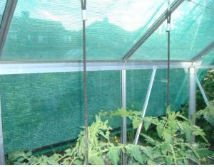 Greenhouse Shade Net