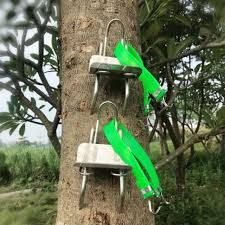 Coconut Tree Climber Machine
