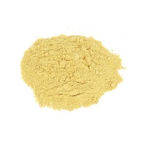 Saccharomyces Cerevisiae