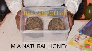 Bee Propolis