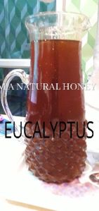 Eucalyptus Honey