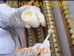 Royal Jelly