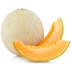 Fresh Muskmelon