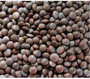 Natural Black Masoor Dal