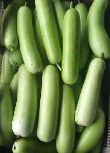 Organic Bottle Gourd