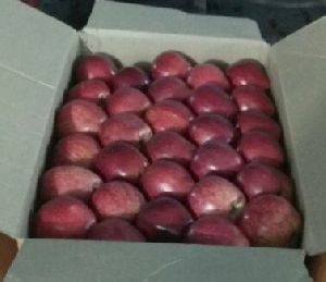 Organic Shimla Apple