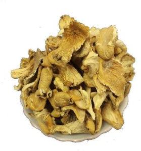 Dried Oyster Mushroom