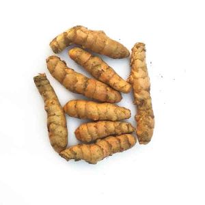 Raw Turmeric