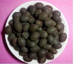 Lotus Seed