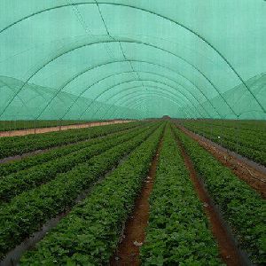 Agriculture Project Preparation Services