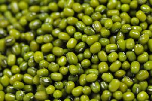 Green Mung Beans