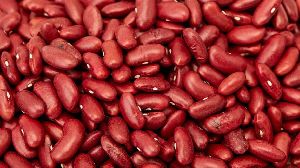 Kidney Beans