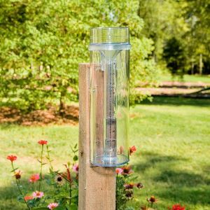 rain gauge cylinder