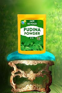 Pudina Powder