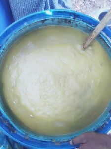 Panchagavya Fertilizer