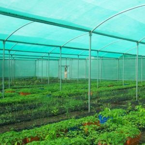 Agro Green Shade Net