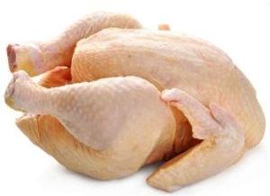 Frozen Broiler Chicken