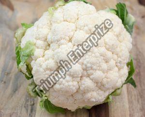 Fresh Natural Cauliflower