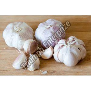 Fresh Natural  Garlic