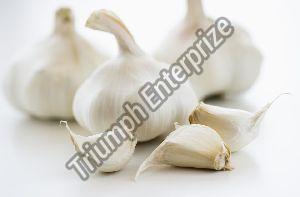 Fresh Organic  Garlic