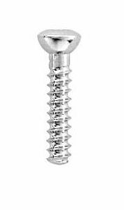 Bone Screws