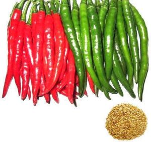 Ashwini Hybrid Chilli Seeds