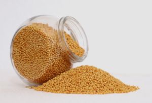 Yellow Mustard Seeds