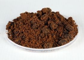 Ginger Coffee Powder