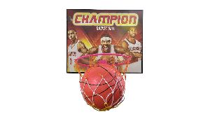 Champion Basket Ball With Net for Indoor & Outdoor, For kids