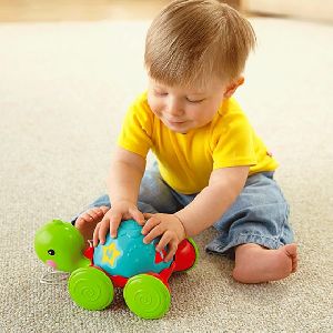 Fisher price Pull Along Turtle