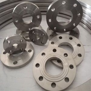 Titanium Flanges