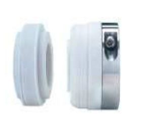 PBP1 PTFE Seals