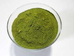 Moringa Dry Leaf Powder