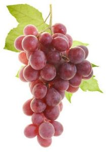 Fresh Red Grapes