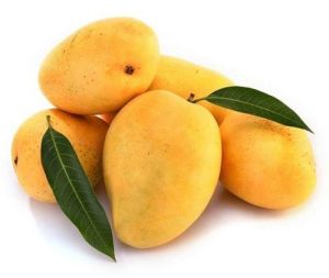 Fresh Alphonso Mango