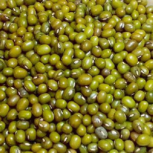 Mung Bean