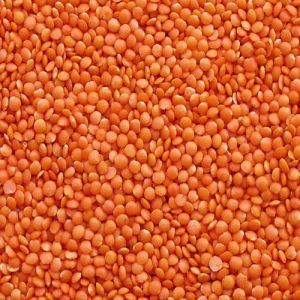 whole masoor dal