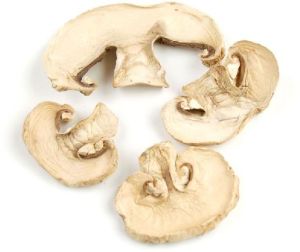 dried button mushroom